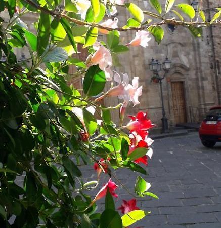 Bed and Breakfast Nenet Guglionesi Exterior foto
