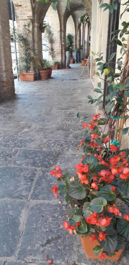 Bed and Breakfast Nenet Guglionesi Exterior foto